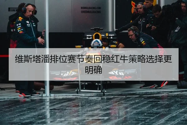 维斯塔潘排位赛节奏回稳红牛策略选择更明确 | leyu.com